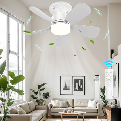 17-inch Socket Fan Light with Remote - Ideal for Bedroom & Kitchen