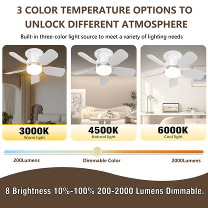 17-inch Socket Fan Light with Remote - Ideal for Bedroom & Kitchen