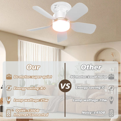 17-inch Socket Fan Light with Remote - Ideal for Bedroom & Kitchen